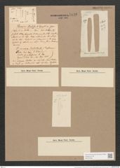 Peronia erinacea Breb. et Arndt (de-Toni-Nr.: Genus 65, Species 2580) Zeichnungen Sammlung Grunow Nr. 5149 (NHMW-BOT-W0373466)